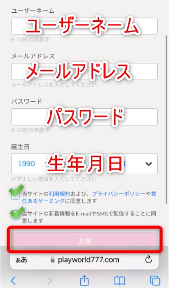 プレイワールドカジノのイージープランの登録情報を入力する