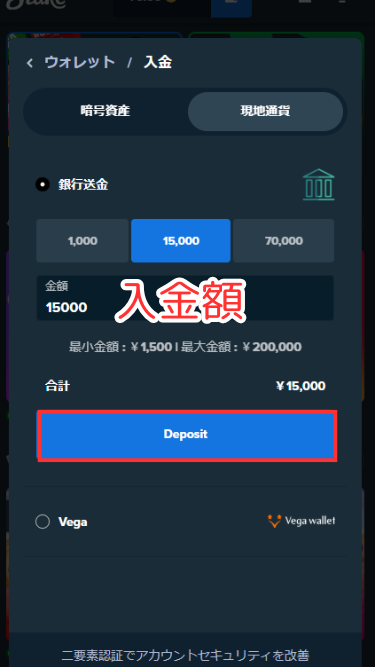 ステークカジノに入金する際に入金額を入力